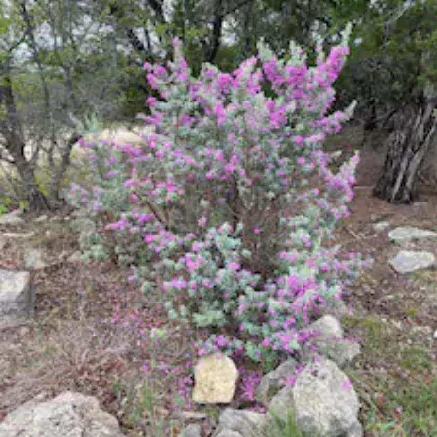 Entire 2Br 2Ba Hilltop View Home Sleeps 7 Pets 4 Acres Jacuzzi Central Ac Kingbeds Free Wifi-Parking Kitchen Washerdryer Starry Terrace Two Sunset Dining Patios Grill Stovetop Oven Fridge Onsitewoodedhiking Wildlife Coveredpatio4Pets & Birds Singing! Marble Falls Bagian luar foto